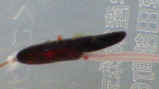 2019_0624_075102-RIMG1572.JPG