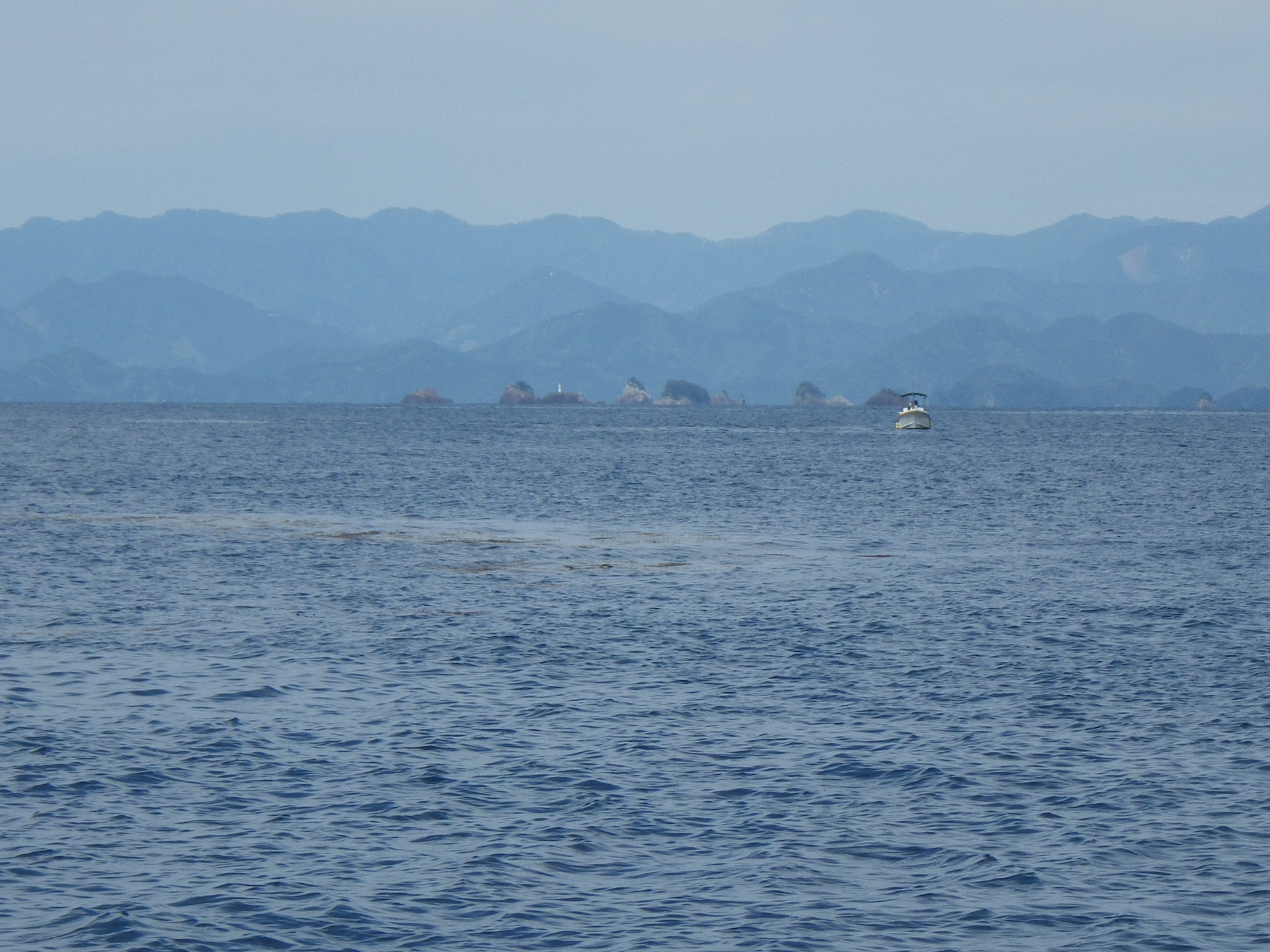 15年05月 歌魚風月